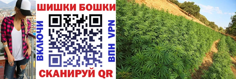 Цена Ахтубинск Псилоцибиновые грибы  Мефедрон  Марихуана  Cocaine  A PVP 
