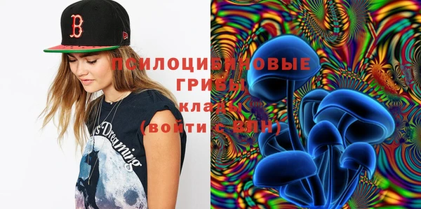 дживик Алзамай