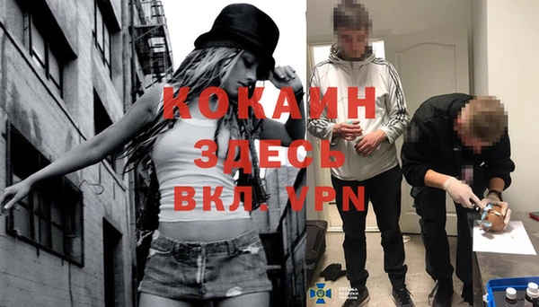 дживик Алзамай