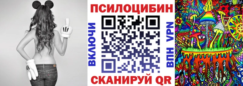 Псилоцибиновые грибы Psilocybine cubensis  Ахтубинск 